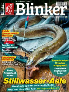 Blinker - Juli 2025