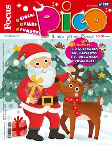 Focus Pico - Dicembre 2024