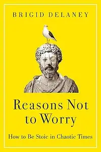 Reasons Not to Worry: How to Be Stoic in Chaotic Times―A Practical Guide to Stoicism for Self-Improvement