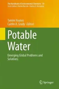 Potable Water: Emerging Global Problems and Solutions