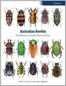 Australian Beetles, Volume 1: Morphology, Classification and Keys