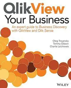 QlikView Your Business  (Repost)