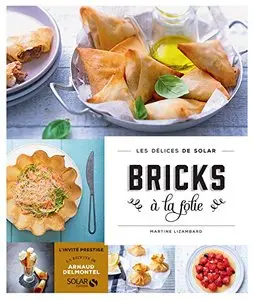 Bricks à la folie - Les délices de Solar