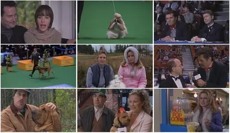 Best in Show (2000)