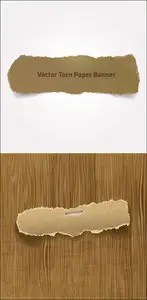 Torn Paper Banners Vector