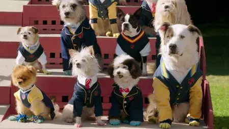 Pup Academy S01E09