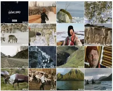 BBC Natural World - Reindeer Girls (9 April 2008)