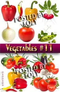 Fresh vegetables #11 - Stock Vector