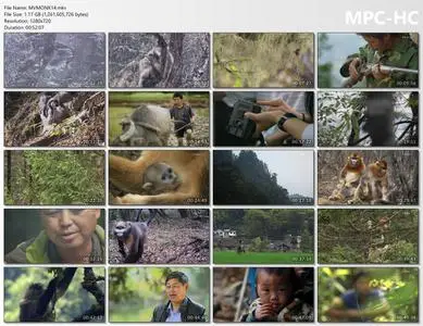 EarthxTV - China's Hidden Monkeys (2014)