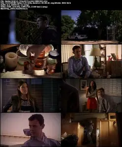 Dexter S06E10 "Ricochet Rabbit"