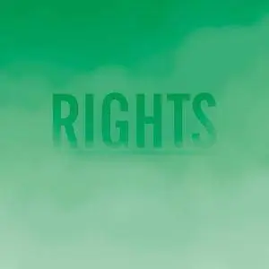 Schnellertollermeier - Rights (2017)