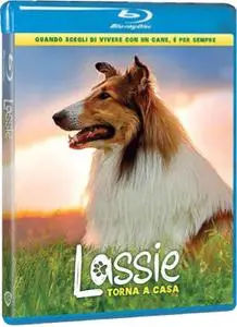 Lassie Torna A Casa / Lassie - Eine abenteuerliche Reise (2020)