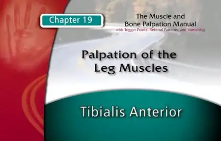 The Muscle and Bone Palpation Manual With Trigger Points, Referral Patterns & Stretching DVDs