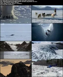 David Attenborough Frozen Planet S01E07 UNCUT