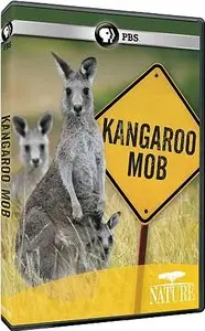 PBS Nature - Kangaroo Mob (2012)