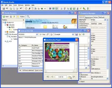 TigerLogic Omnis Studio v5.0 for Windows/Linux/MacOSX