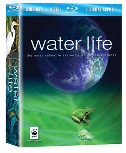 Water Life (2007-2009)