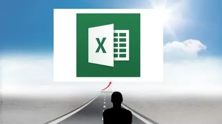 Microsoft Excel Professional
