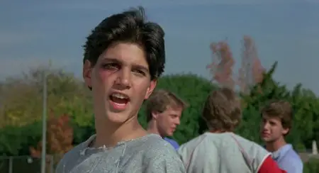 The Karate Kid (1984)
