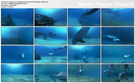 Dolphins in the Deep Blue Ocean (2009)