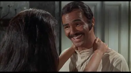 100 Rifles (1969)