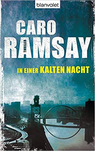 In einer kalten Nacht - Caro Ramsay