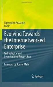 Evolving Towards the Internetworked Enterprise: Technological and Organizational Perspectives (repost)