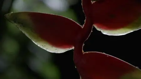 Dead by Dawn S01E05