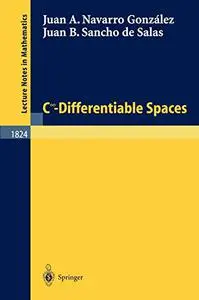 C^\infinity - Differentiable Spaces (Repost)