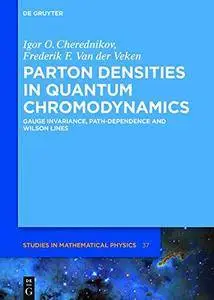 Parton Densities in Quantum Chromodynamics: Gauge Invariance, Path-Dependence and Wilson Lines