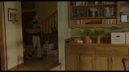 The Stray (2017)