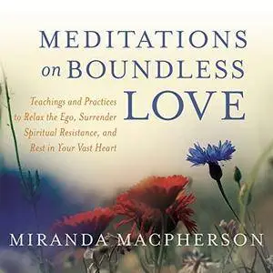 Meditations on Boundless Love [Audiobook]
