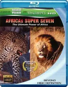 Africa's Super Seven (2005)