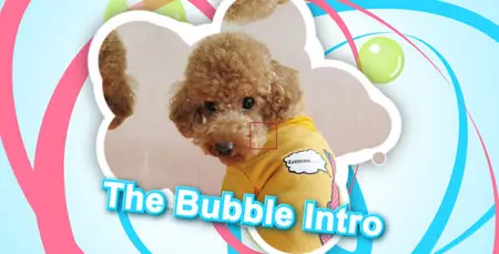 The Bubble Intro - Project for After Effects (VideoHive)