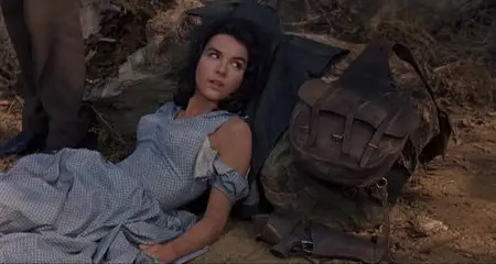 Posse from Hell (1961)