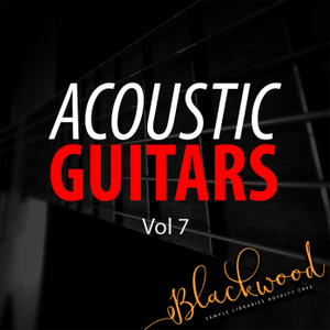 Blackwood Samples Acoustic Guitars Vol 7 WAV