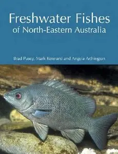 Freshwater Fishes of North-Eastern Australia (repost)