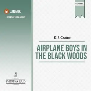 «Airplane Boys in the Black Woods» by E. J. Craine