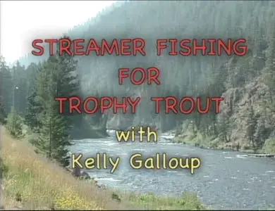 Streamer Fishing For Trophy Trout