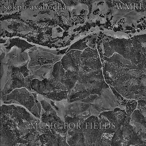 sokbp avabodha & WMRI - Music for Fields (2010/2012)