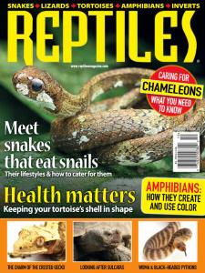 Reptiles - September-October 2020