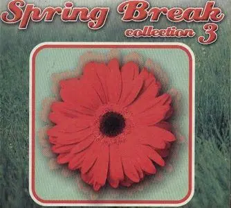 Spring Break Collection  Disc 3 (various artists)