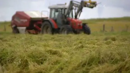 BBC - The Corncrake and the Croft (2011)