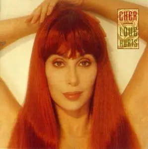 Cher - Love Hurts (1991)