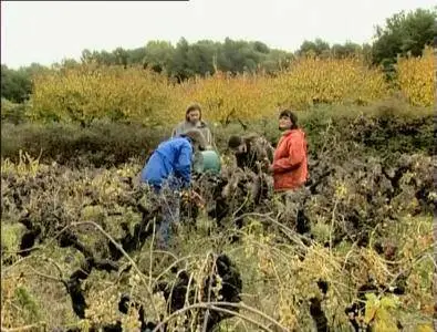 The Gleaners And I (2000)