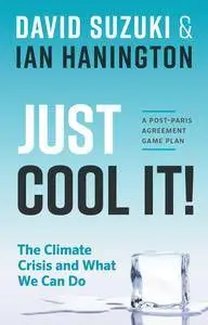 Just Cool It!: The Climate Crisis and What We Can Do - A Post-Paris Agreement Game Plan