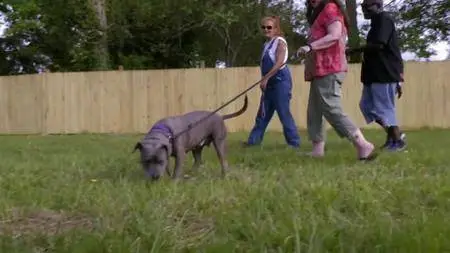 Pit Bulls and Parolees S11E04