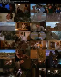 Summerfield (1977)