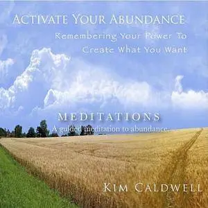 Activate Your Abundance Meditations (2011)