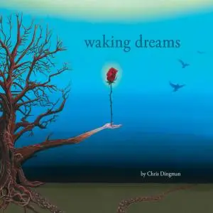 Chris Dingman ‎– Waking Dreams (2011)